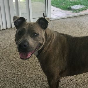 Meet your Posher, Elise